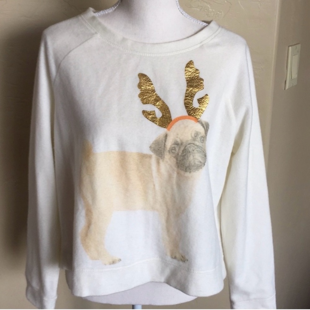 Sugar Rush Soft Holiday Reindeer Pug Sweatsh